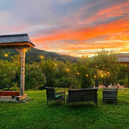 Casa Chira Otel Vişeu de Sus Dış mekan fotoğraf