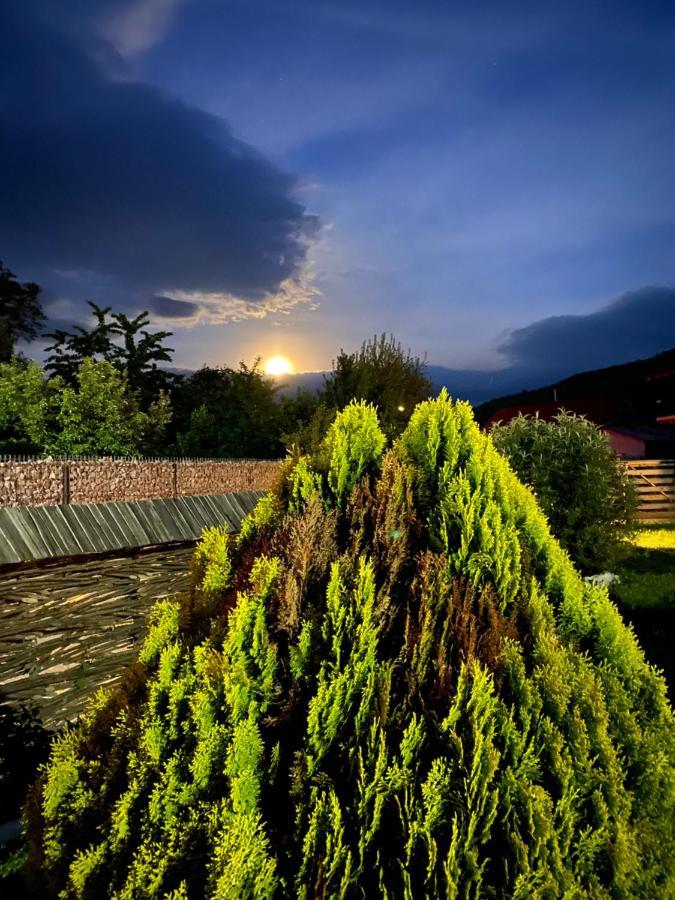 Casa Chira Otel Vişeu de Sus Dış mekan fotoğraf