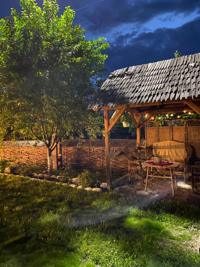 Casa Chira Otel Vişeu de Sus Dış mekan fotoğraf
