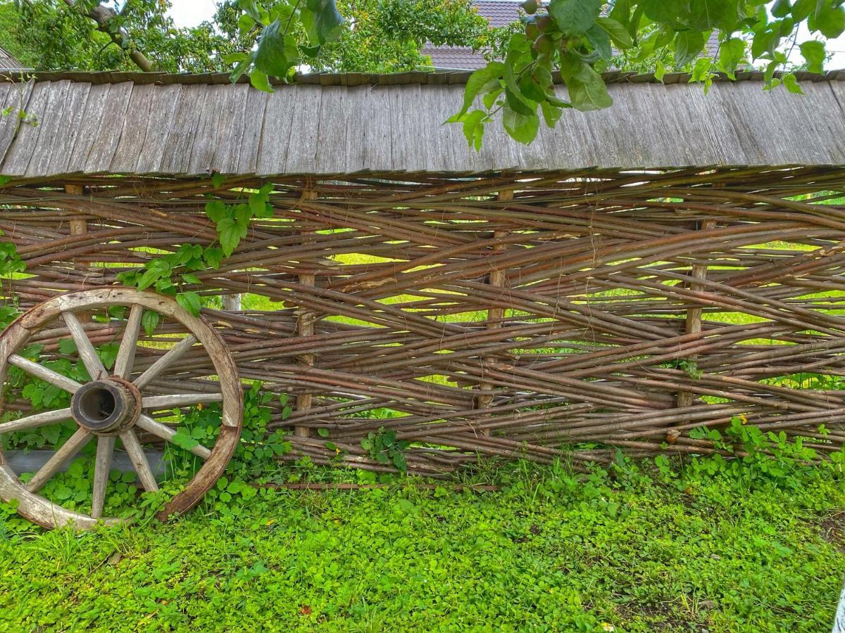 Casa Chira Otel Vişeu de Sus Dış mekan fotoğraf