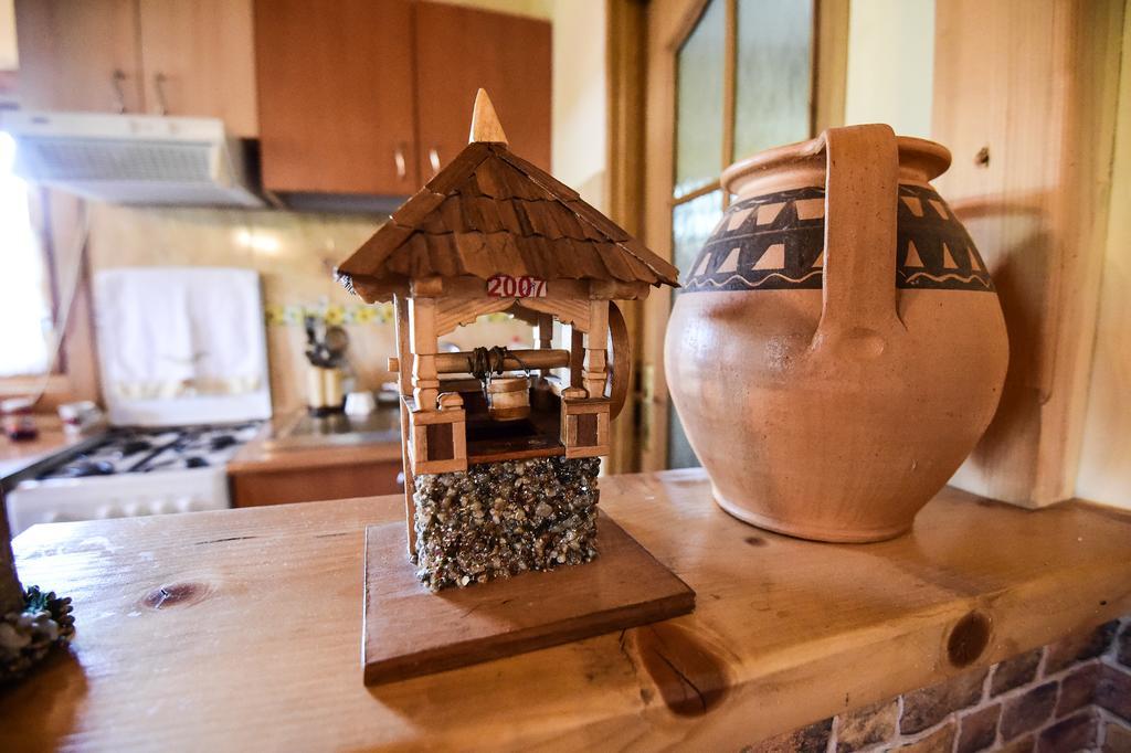 Casa Chira Otel Vişeu de Sus Dış mekan fotoğraf