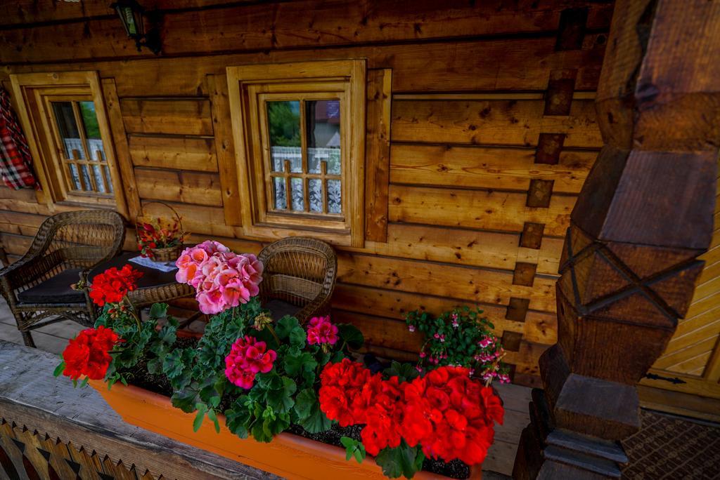 Casa Chira Otel Vişeu de Sus Dış mekan fotoğraf
