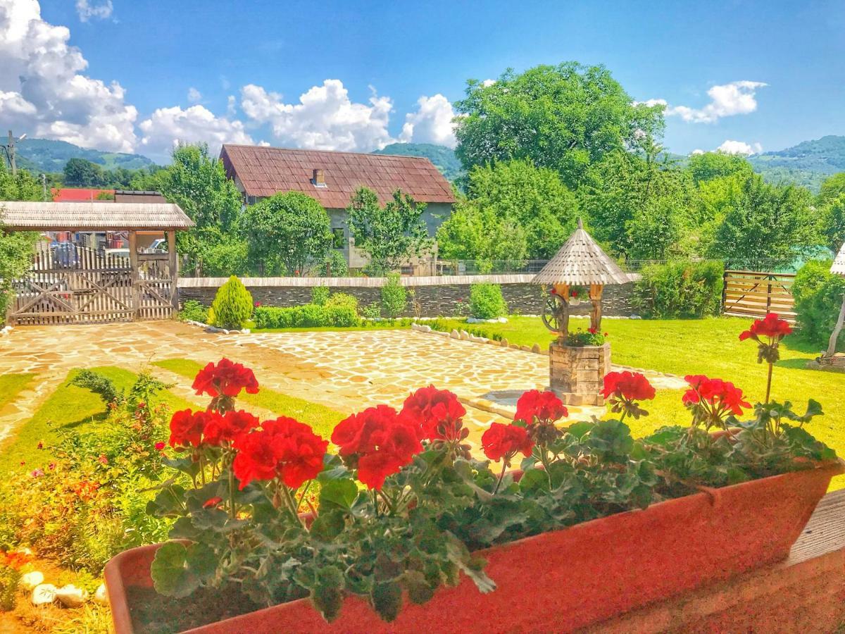 Casa Chira Otel Vişeu de Sus Dış mekan fotoğraf