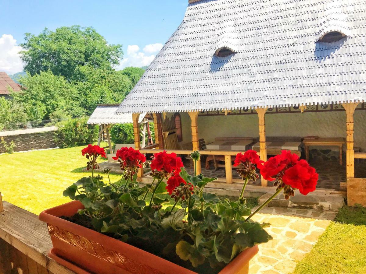 Casa Chira Otel Vişeu de Sus Dış mekan fotoğraf