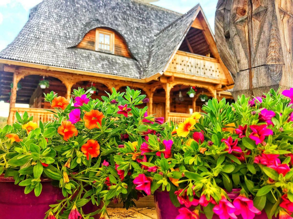 Casa Chira Otel Vişeu de Sus Dış mekan fotoğraf